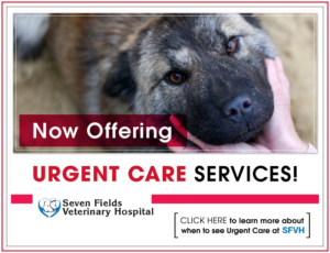 SFVH_Urgent-Care-Pop-Up